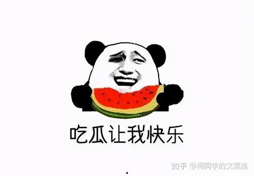 娱乐吃瓜酱上班文案搞笑,笑料连连的娱乐酱日常
