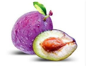 娱乐吃瓜少女西梅拿铁